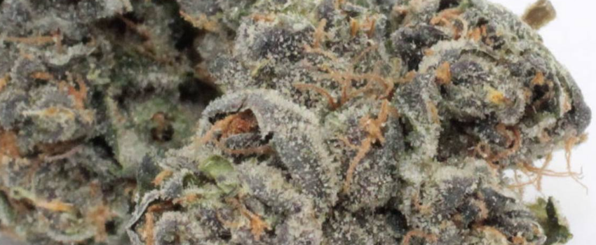 Phantom Cookies Effects