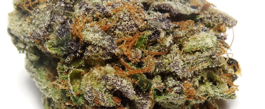 Pink Kush Effects