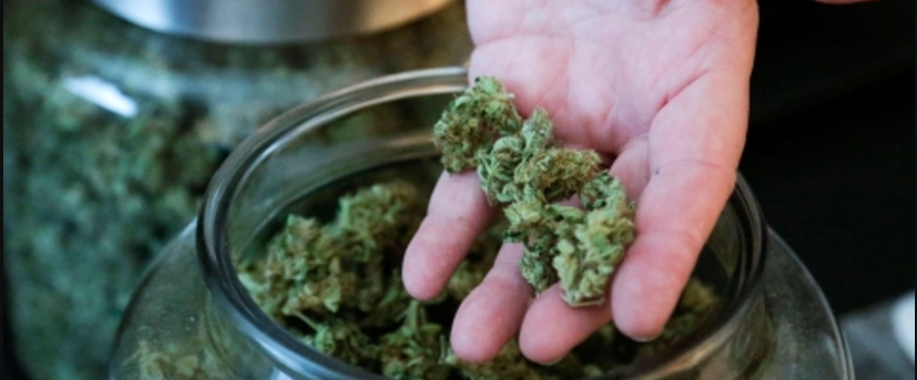 Possessing_Marijuana