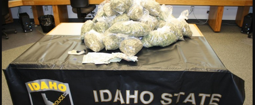 Possessing_Marijuana