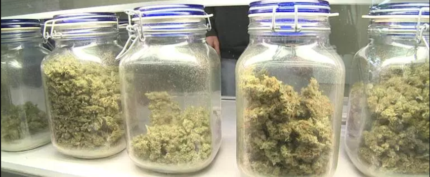 Possessing_Marijuana