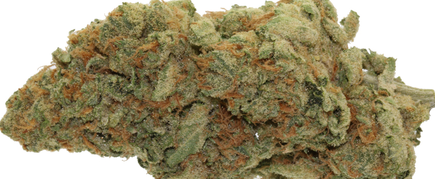 Sunset_Sherbert_Flavors