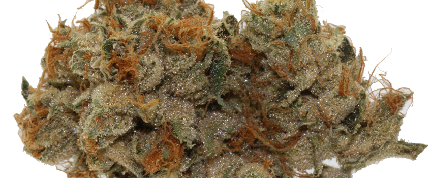 Sunset_Sherbert_Medical