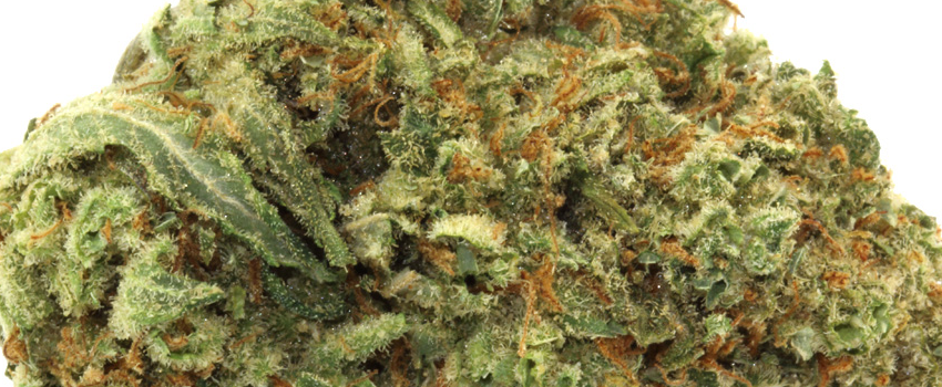 Super_Sour_Diesel_Medical