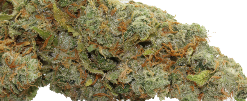 Tangerine_Effects