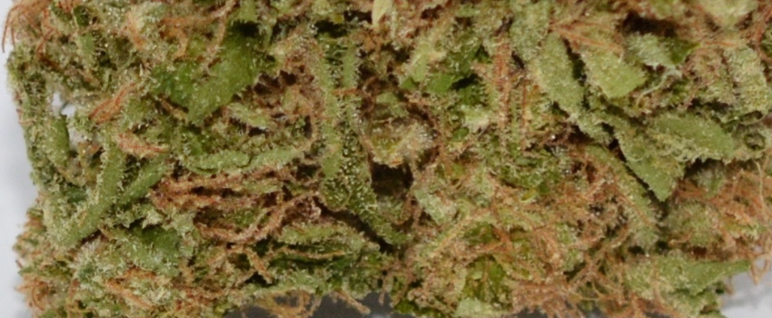 Tangerine Haze Effects