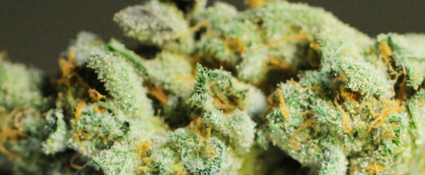 Trinity_Medical