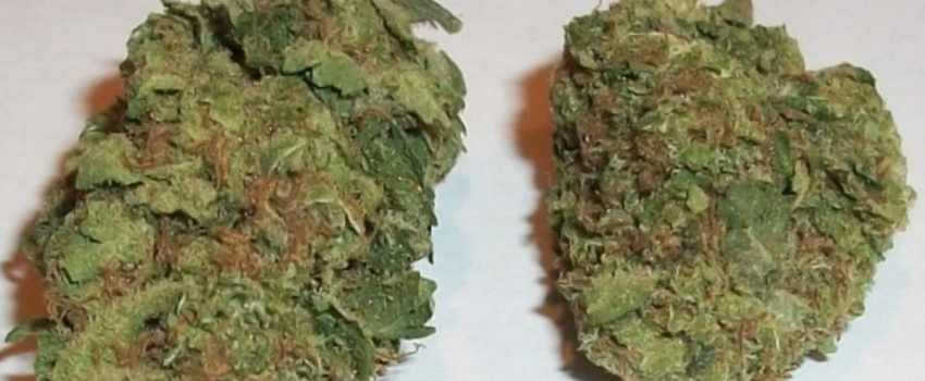AK-48_Adverse_Reaction