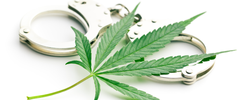 Breaking_Marijuana_Law
