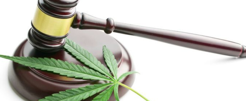 Breaking_Marijuana_Law