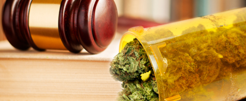 Breaking_Marijuana_Law