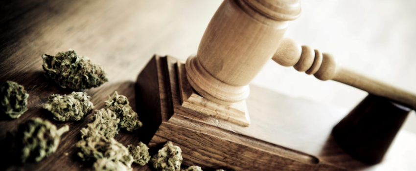 Breaking_Marijuana_Law