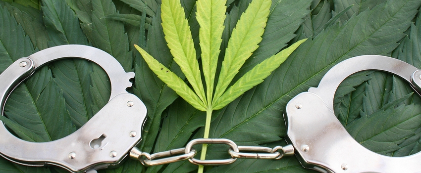 Breaking_Marijuana_Law