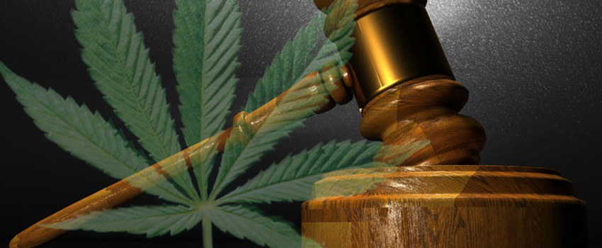 Breaking_Marijuana_Law