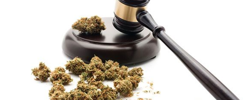 Breaking_Marijuana_Laws