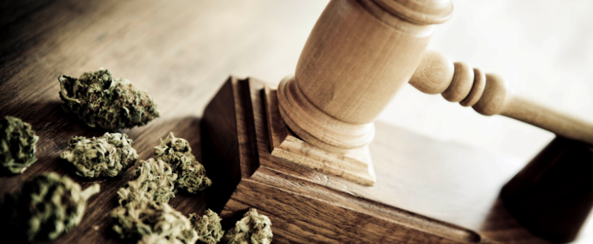 Breaking_Marijuana_Laws