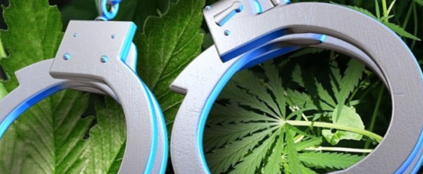 Breaking_Marijuana_Laws
