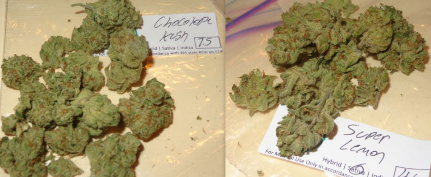 Chocolope_Kush_Effects