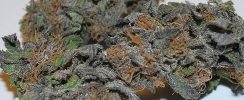 Deathstar_OG_Adverse_Reaction