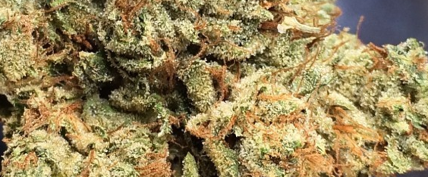 Deathstar_OG_Medical