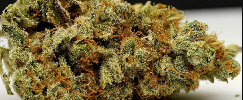 Dutch Hawaiian Effects
