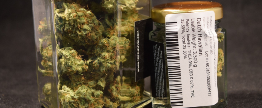 Dutch Hawaiian Medical
