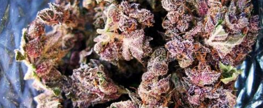 Grape_Kush_Effects