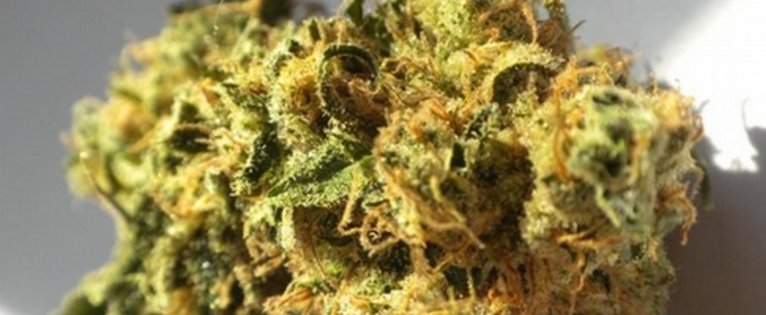 Hawaiian_Effects