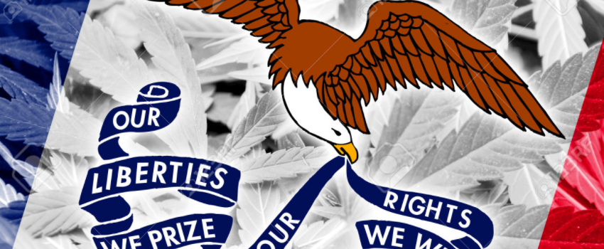 Iowa_Flag_with_Marijuana