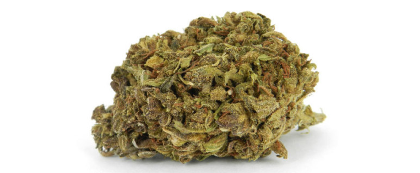 Lemon_Drop_Medical