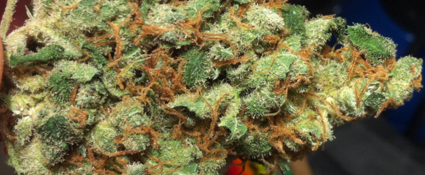 Lemon_Thai_Effects