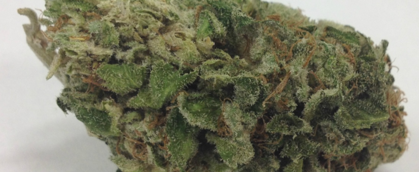 Lemon_Thai_Medical