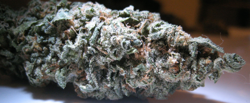 Matanuska_Thunder_Fuck_Medical