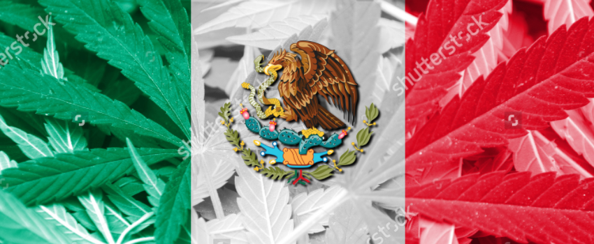 Mexico_Flag_with_Marijuana