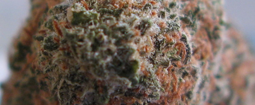 Northern_Lights_No._5_Effects