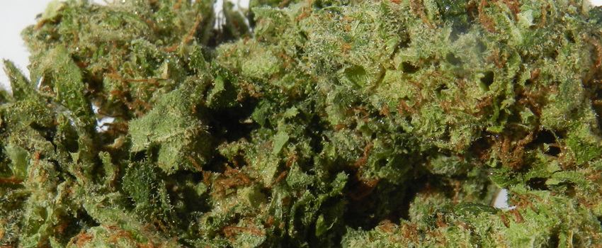 OG_Chem_Effects