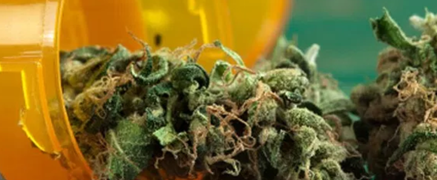 Possessing_Marijuana