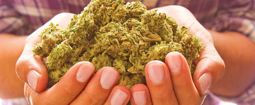 Possessing_Marijuana
