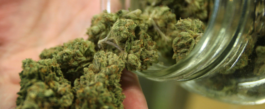 Possessing_Marijuana