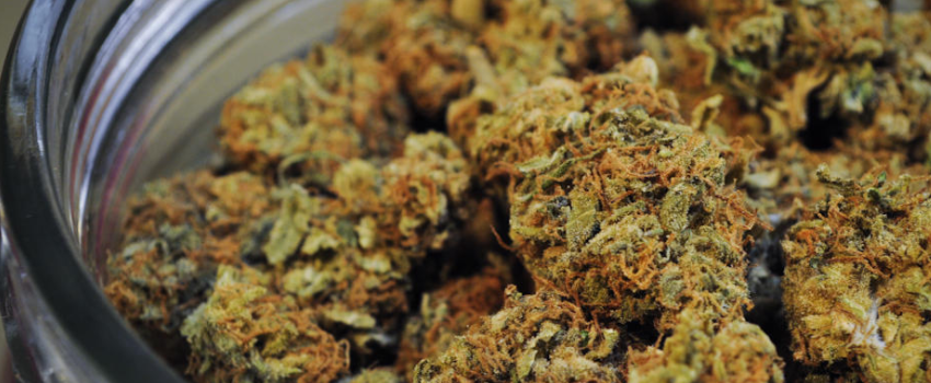 Possessing_Marijuana