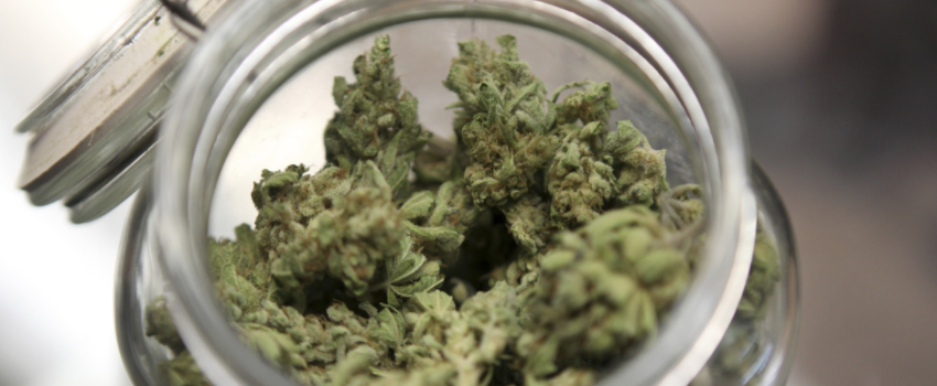 Possessing_Marijuana