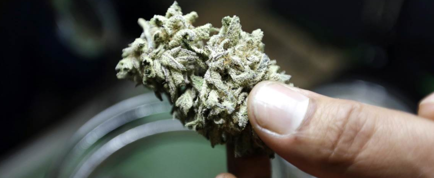 Possessing_Marijuana