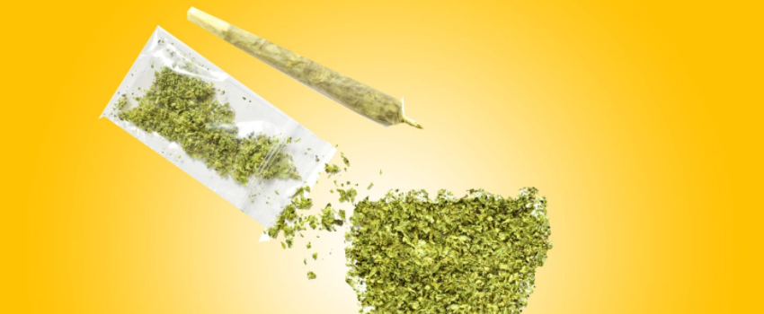 Possessing_Marijuana