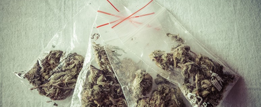 Possessing_Marijuana_to_Distribute