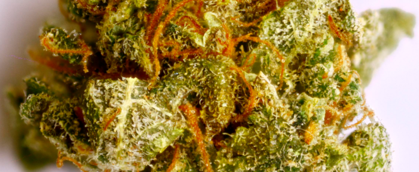 Pot_of_Gold_Effects