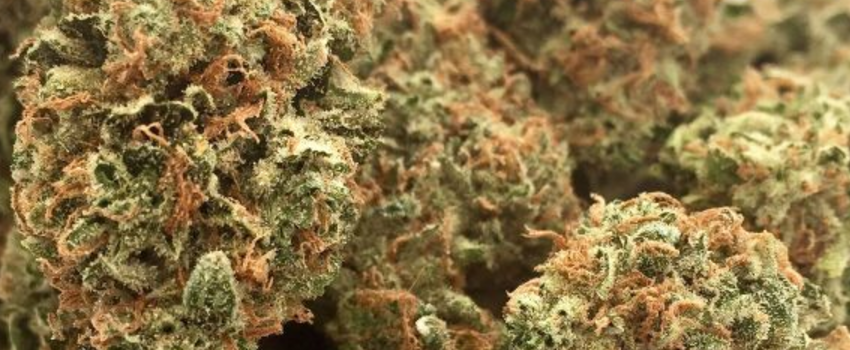 Qrazy_Train_Flavors