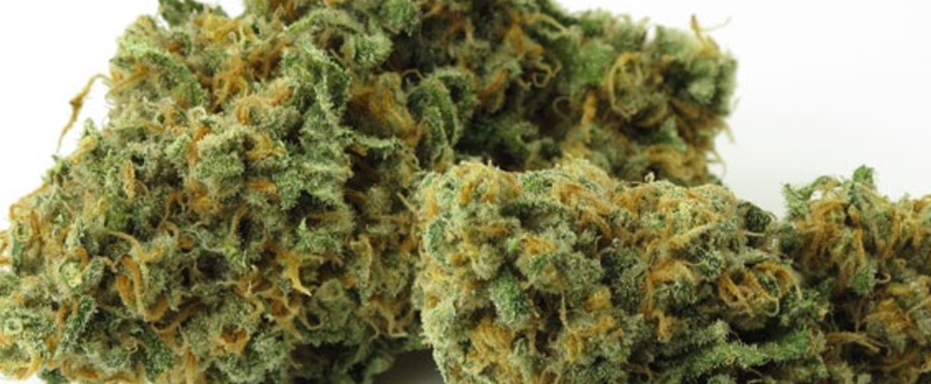 Qrazy_Train_Medical