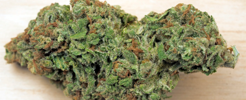 Sour_Apple_Adverse_Reaction