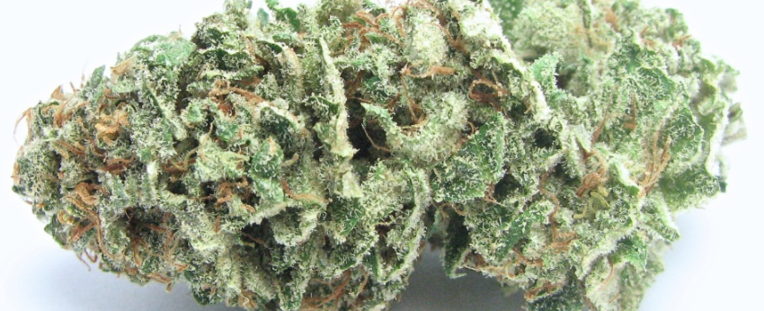 Sour_Apple_Effects