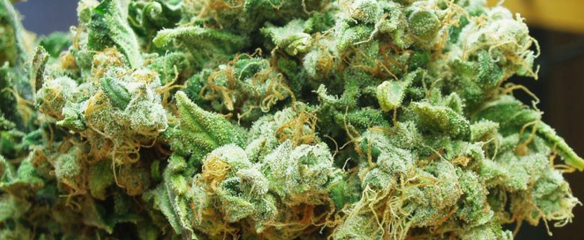 Sour_Jack_Adverse_Reaction_001